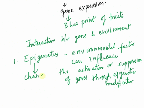 what-role-can-the-environment-play-in-gene-expression-31105
