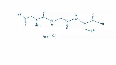 sketch-the-following-two-tripeptide-chains-and-give-systemic-name-asp-gly-ser-and-ile-asn-met-at-physiological-ph-22-look-carefully-at-the-following-polypeptide-chain-and-use-its-structure-a-58167
