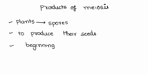 3-in-plants-the-products-of-meiosis-are-a-gametes-b-seeds-pollen-grains-e-zygotes-d-spores-04641