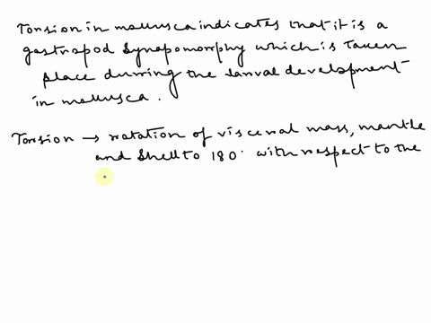 describe-the-phenomenon-of-torsion-in-mollusca-name-the-class-that-exhibits-this-phenomenon-and-describe-one-problem-and-one-solution-that-result-from-torsion-25944