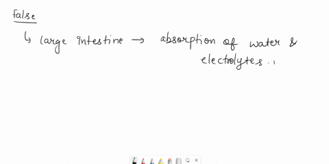 true-or-false-function-of-the-large-intestine-without-a-properly-functioning-large-intestine-a-person-will-have-chronic-diarrhea-true-or-false-true-false-prev-22-of-39711