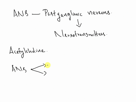 in-the-autonomic-nervous-systemthe-postganglionic-neurons-will-release-neurotransmitters-to-the-target-tissuesuch-thatin-general-o-ach-is-released-by-the-parasympathetic-division-and-ne-and-62358