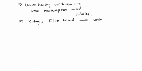 which-one-of-the-following-is-not-a-substance-typically-reabsorbed-by-the-tubules-under-normal-healthy-conditions-aurea-bamino-acids-1-cwater-dsodium-eglucose-57708