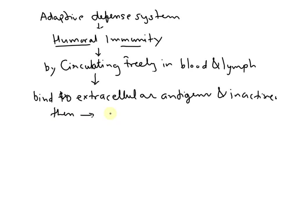 SOLVED Which molecules of the adaptive defense system provide humoral immunity by circulating