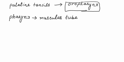 which-part-of-the-pharynx-houses-the-palatine-tonsils-1-multiple-choice-oropharynx-laryngopharynx-tracheopharynx-nasopharynx-25404