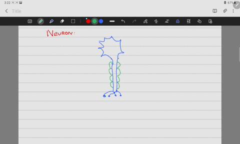 which-part-of-the-neuron-is-where-most-of-the-organelles-are-located-95135