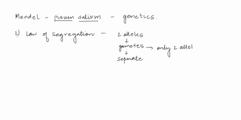 how-does-mendels-work-on-the-transmission-of-traits-relate-to-our-understanding-of-genetics-today-2-00591