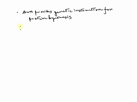 describe-the-role-of-dna-and-rna-in-protein-synthesis-88904