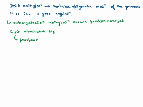 epigenetics-explain-dna-methylation-how-does-this-process-influence-cellular-function-40923