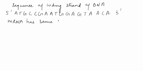 9-if-the-coding-strand-of-a-piece-of-dna-is-5-atgccgaatggagtaaca-3-what-is-the-sequence-of-amino-acids-that-it-codes-for-2-marks-95967