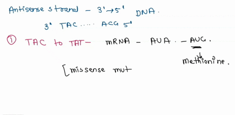 of-mutation-and-how-it-would-affect-the-protein-made-amino-acid-if-the-following-changes-identify-the-type-occurred-in-the-dna-antisense-strand-4-marks-1-first-codon-change-from-tac-to-tat-2-50613