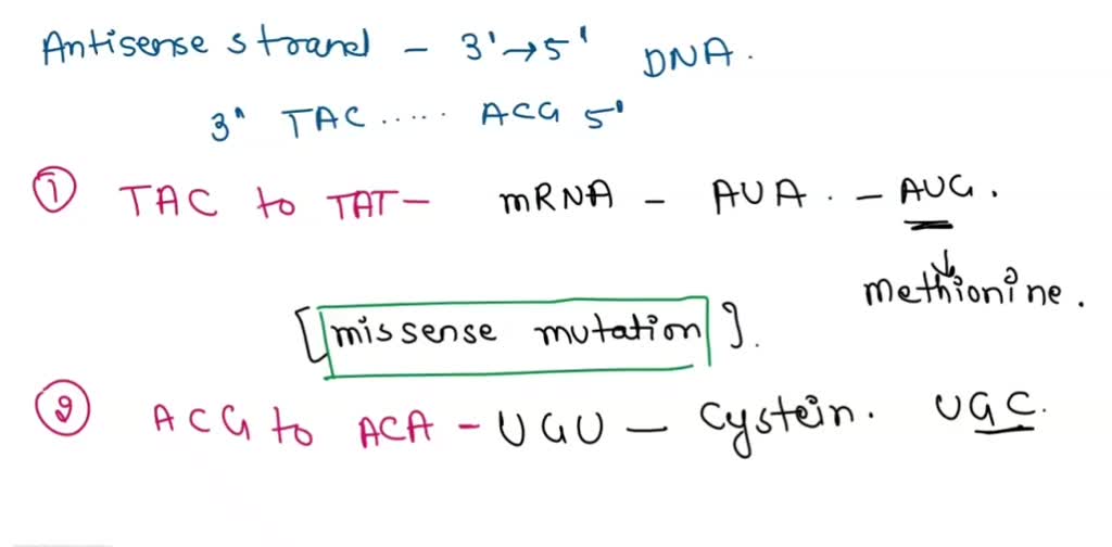 SOLVED:"Problem [0 Mutations A mRNA has the sequence of codons 5 ...