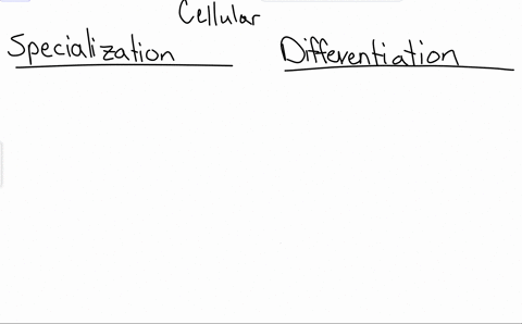 4-adifferentiate-between-the-terms-cell-specialisation-and-cell-differentiation-b-identify-the-types-of-cells-that-specialised-cells-originate-from-in-animals-cdescribe-the-process-that-occurs-to-prod