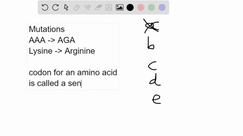 which-type-of-mutation-is-exemplified-by-this-statement-resulted-in-conversion-of-an-aaa-codon-to-aga-aaa-codes-for-lysine-basic-amino-base-substitution-mutation-acid-aga-codes-for-arginine-22993