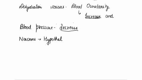 now-that-you-understand-why-adhvasopressin-levels-might-be-a-concern-but-why-is-the-doctor-looking-at-her-brain-how-is-the-brain-related-to-adhvasopressin-34536