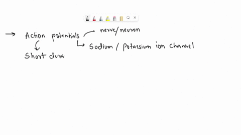 0-1-pts-incorrect-question-46-if-action-potentials-are-all-or-nothing-then-how-is-the-intensity-of-the-stimulus-coded-into-action-potentials-intensc-stimuli-producc-morc-intense-action-poten-45983
