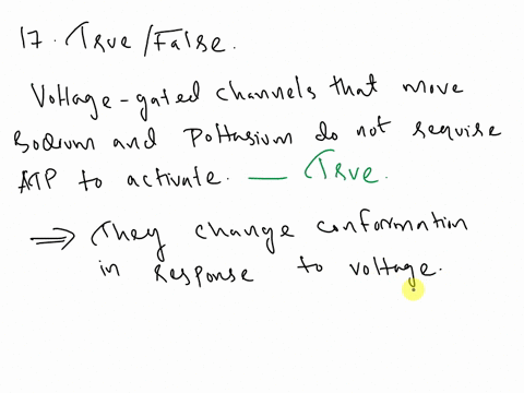 20at-rest-potential-felectrical-gradient-e-c-apermeability-apply-bfalse-atrue-activate-dconcentration-gradient-bfalse-atrue-lons-cannot-frely-pass-through-the-membrane-unassisted-a-none-of-t-34233
