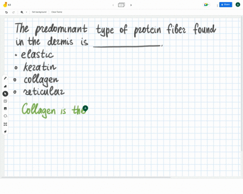 multiple-choice-question-the-predominant-type-of-protein-fiber-found-in-the-dermis-is-qquad-elastic-keratin-collagen-reticular