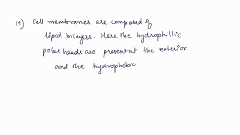 question-19-05-points-cell-membranes-contain-phospholipids-with-the-hydrophilic-polar-heads-arranged-on-the-interior-of-the-bilayer-true-false-question-20-05-points-in-which-of-the-following-89544