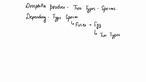 a-normal-female-drosophila-produces-abnormal-eggs-that-contain-all-a-complete-diploid-set-of-her-chr-56018