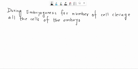 question-4-cell-fate-during-embryogenesis-is-largely-lineage-dependent-o-true-o-false-68151
