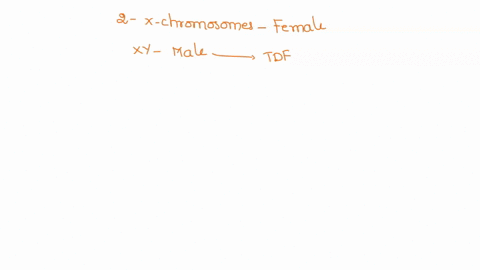 in-mammals-individuals-with-two-x-chromosomes-are-female-and-individuals-with-an-x-and-a-y-chromosome-are-male-it-had-long-been-known-that-a-gene-located-on-the-y-chromosome-was-sufficient-t-49848