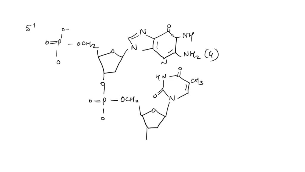 what macromolecule is made of carbon hydrogen oxygen nitrogen and phosphorus