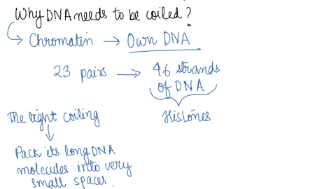 why-does-dna-need-to-be-colled-choose-all-that-apply-dna-coiling-allows-dna-to-be-wrapped-tight-enough-during-certain-times-of-the-cell-cycle-in-order-to-enable-to-movement-of-the-chromosome-24696