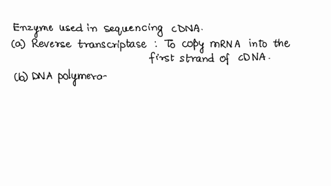 which-of-the-enzymes-from-the-following-list-would-you-need-to-sequence-dna-what-is-the-function-of-98449