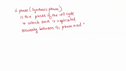 a-cell-is-being-held-in-g1-phase-due-to-dna-damage-caused-by-uv-radiation-when-the-dna-is-damaged-p53-is-phorphorylated-and-prevents-entry-into-what-phase-66943