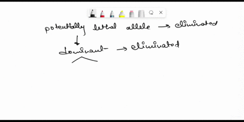 lab-3-hardy-weinberg-equilibriumevolution-extra-credit-questions-biol-106-lab-under-what-circumstances-might-potentially-lethal-allele-be-eliminated-in-population-what-are-the-relationships-59171