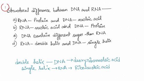 which-of-the-following-statements-best-summarizes-the-structural-differences-between-dna-and-rnaa-rna-is-a-protein-while-dna-is-a-nucleic-acidb-dna-is-a-protein-while-rna-is-a-nucleic-acidc-98268