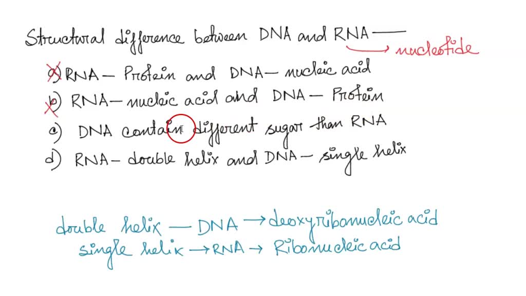 SOLVED: Which statement accurately describes the differences between