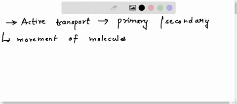 active-transport-can-be-classified-as-primary-or-secondary-how-are-these-two-processes-the-same-and-how-do-they-differ-10508