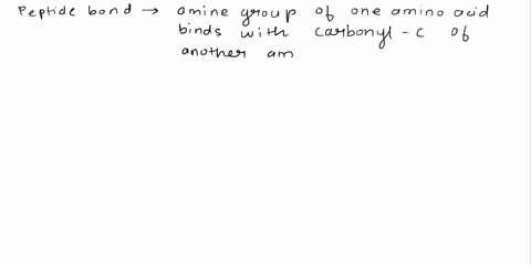 all-of-the-following-statements-concerning-peptide-bonds-are-not-true-except-a-their-formation-involves-a-reaction-between-an-amine-group-and-a-carboxyl-group-b-they-are-the-primary-bonds-fo-32458