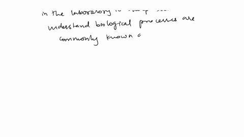 what-are-model-organisms-what-is-the-significance-of-using-model-organisms-provide-one-example-atabolic-imatch-the-following-terminologies-in-aanbotic-the-box-t0-the-appropriate-blanks-in-th-32363