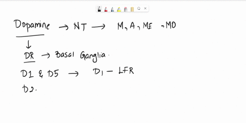 which-of-the-following-is-true-in-regards-to-dopamine-activity-in-the-basal-ganglia-select-all-that-apply-question-7-options-a-d1-receptors-are-coupled-to-the-gs-subunit-b-d2-receptors-inhib-43693