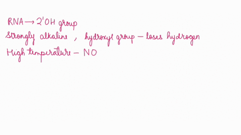 which-of-the-following-techniques-are-useful-to-prevent-rna-degradation-during-an-experiment-a-use-a-buffer-to-maintain-alkaline-conditions-ph-13-to-stop-any-cleaving-enzymes-from-working-b-19339