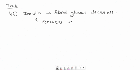 question1-which-of-the-following-are-true-select-all-that-apply-if-glucose-levels-increasethis-leads-to-insulin-levels-decreasing-insulin-leads-to-blood-glucose-decreasing-beta-cells-rely-on-70942
