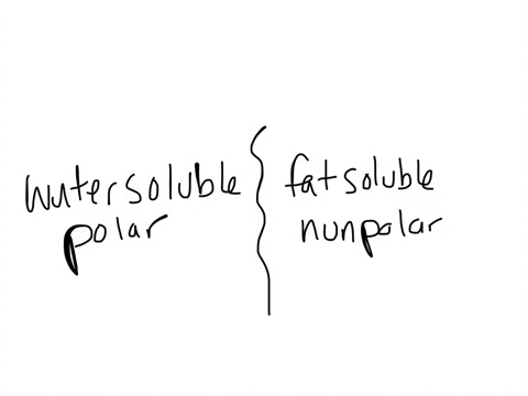 water-soluble-polar-or-non-polar-and-example-fat-soluble-polar-or-non-polar-and-example