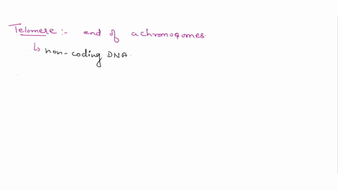 which-of-the-following-statements-about-telomeres-are-true-select-all-that-apply-telomeres-are-located-at-the-ends-of-linear-chromosomes-telomeres-are-located-at-the-center-of-linear-chromos-41016