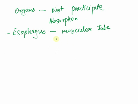 which-of-the-following-organs-does-not-participate-in-absorption-esophagus-stomach-small-intestine-o-large-intestine-71197