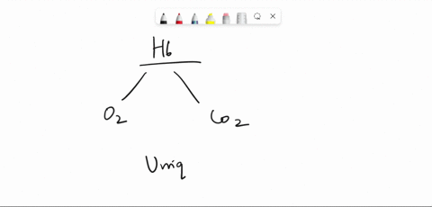 protein-structurefunction-and-hemoglobin-list-all-of-the-relationships-that-you-learned-about-linking-protein-structure-and-function-in-hemoglobin-and-its-function-in-the-transport-of-oxygen-62389