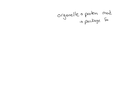 question-number-7-this-organelle-is-responsible-for-protein-modifications-glycosylation-and-packaging-proteins-for-the-membrane-and-secretion-pathways-centrosome-golgi-apparatus-mitochondria-rough-end