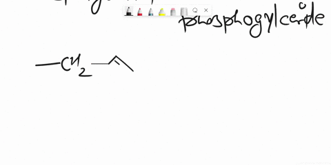 ifound-thls-im-be-online-notice-that-it-s-confidently-labeled-sphingolipld-not-phosphoglycerldc-sphingolipid-ghl-3-ghl-whkch-the-following-best-helpsus-to-know-that-it-is-asphingolipidnot-a-62748