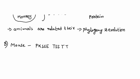 draw-it_-below-are-the-amino-acid-sequences-of-three-short-segments-of-the-foxp-protein-from-five-species-single-letters-are-used-for-this-example-and-the-what-they-code-for-can-be-found-on-05092