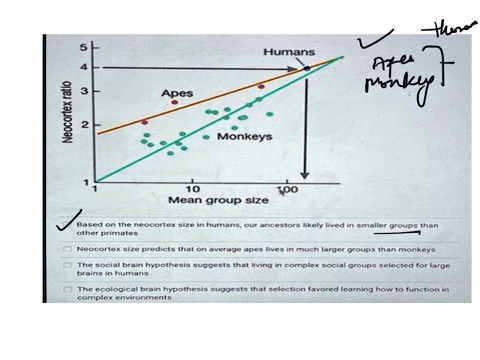 using-the-figure-and-your-knowledge-of-brain-development-hypotheses-ecological-and-social-determine-if-the-following-statements-are-correctmultiple-answers-are-correct-5-humans-4-3-neocortex-30225