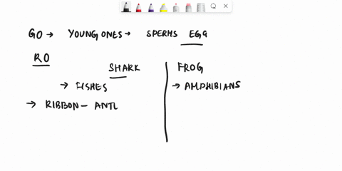 give-differences-beween-shark-and-frog-regarding-reproductive-system-10043