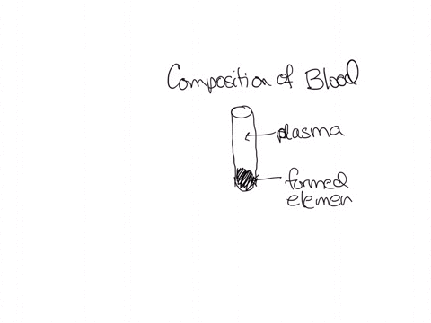 which-answer-correctly-lists-the-formed-elements-found-in-blood-a-plasma-leukocytes-and-platelets-b-erythrocytes-leukocytes-and-dissolved-proteins-c-platelets-erythrocytes-and-leukocytes-d-erythrocyte