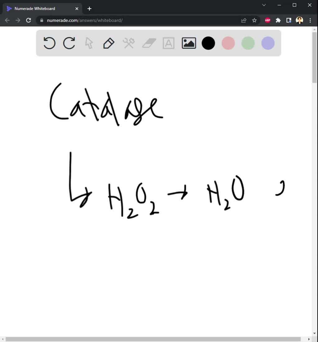 SOLVED When a piece of liver is dropped into hydrogen peroxide, the